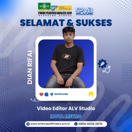 Video Editor ALV Studio